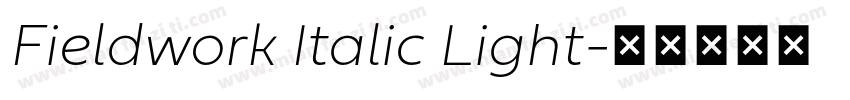 Fieldwork Italic Light字体转换